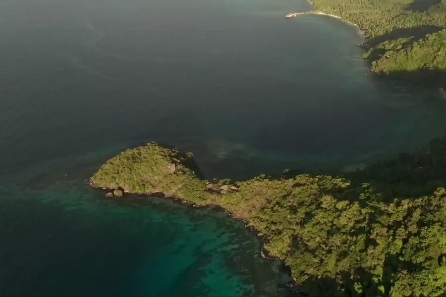 The coast of Laucala Island from the air