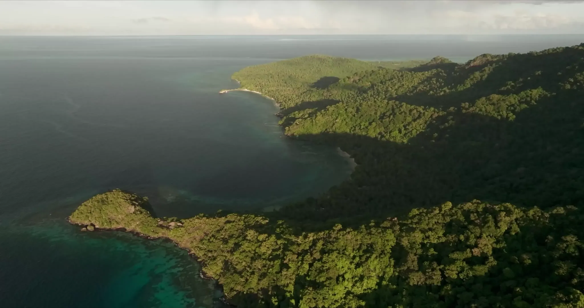 The coast of Laucala Island from the air