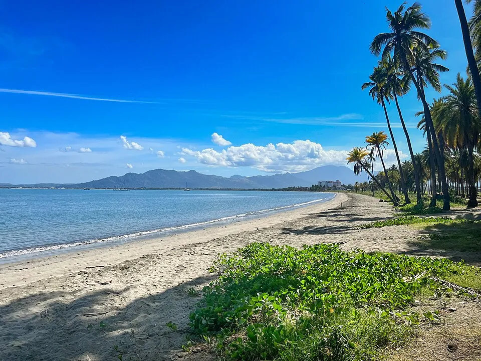A palm-lined beach in Fiji