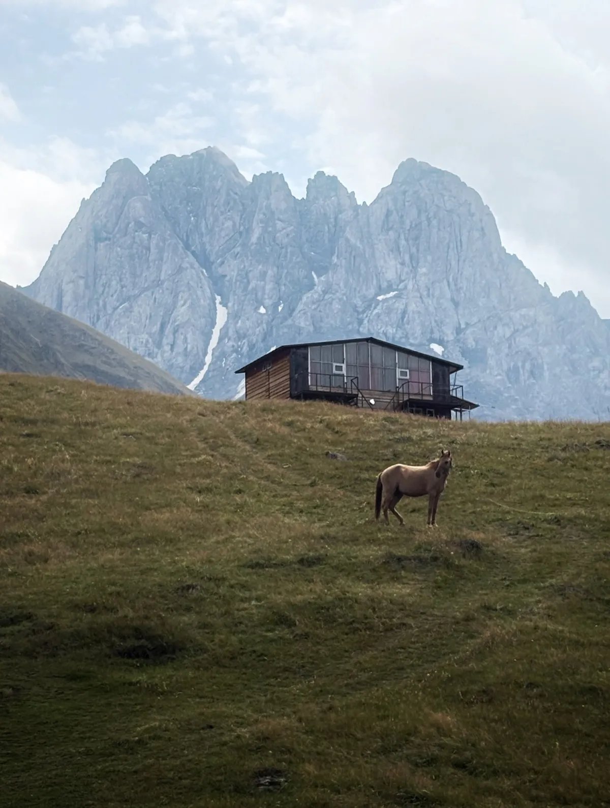 A horse below the Chaukhi massif, Juta