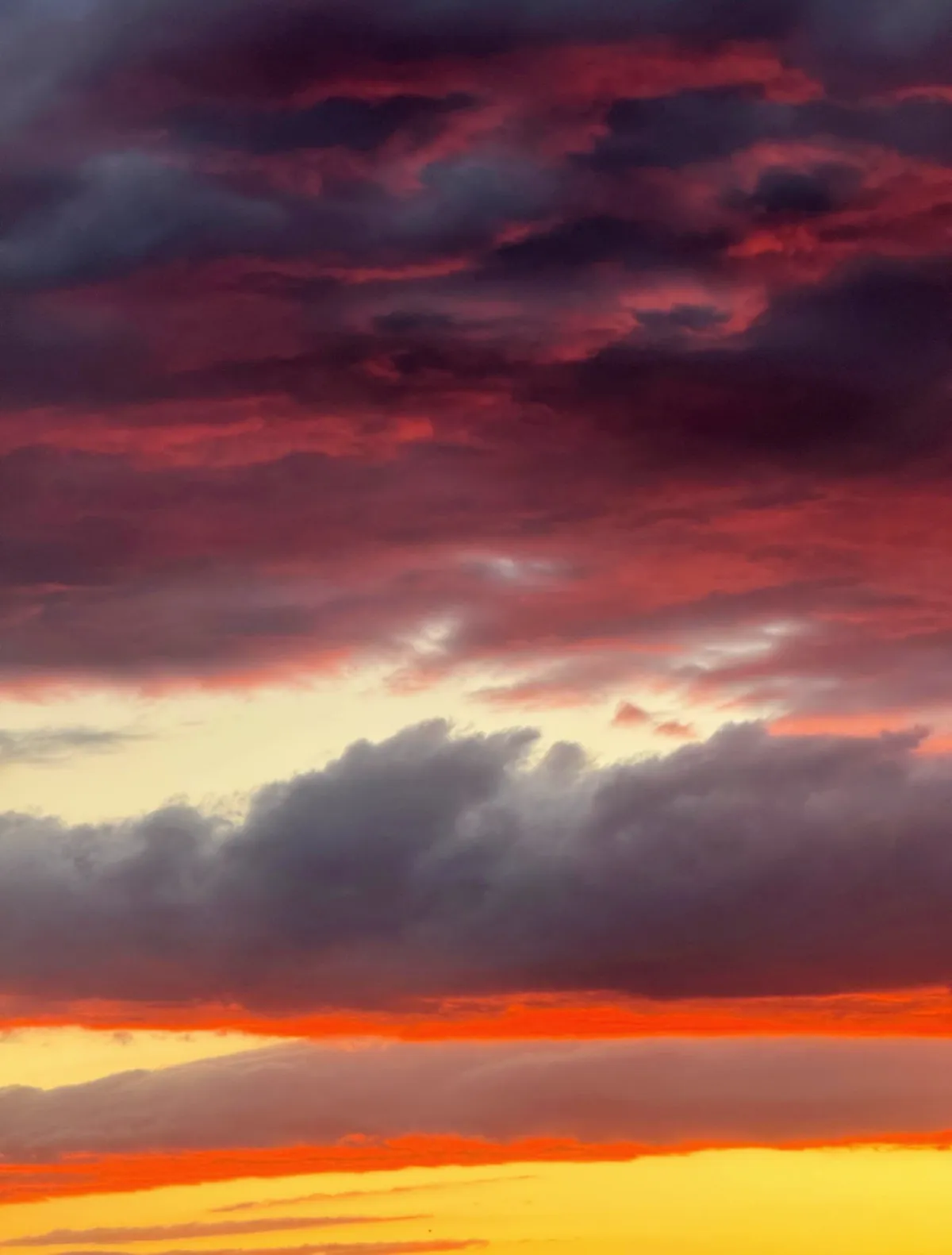 Sunset in Georgia
